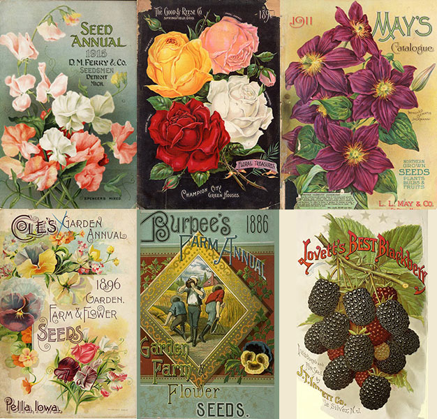 Seed Catalogue covers